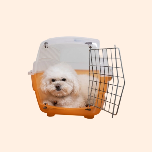 Dog & Cat Cage